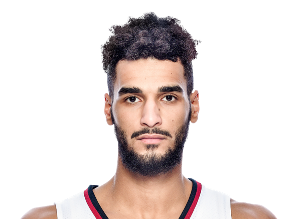 Malek Abdelgowad