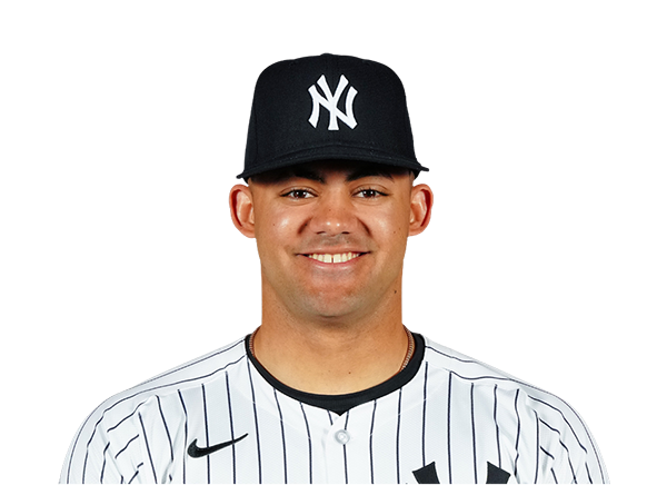 Jasson Dominguez